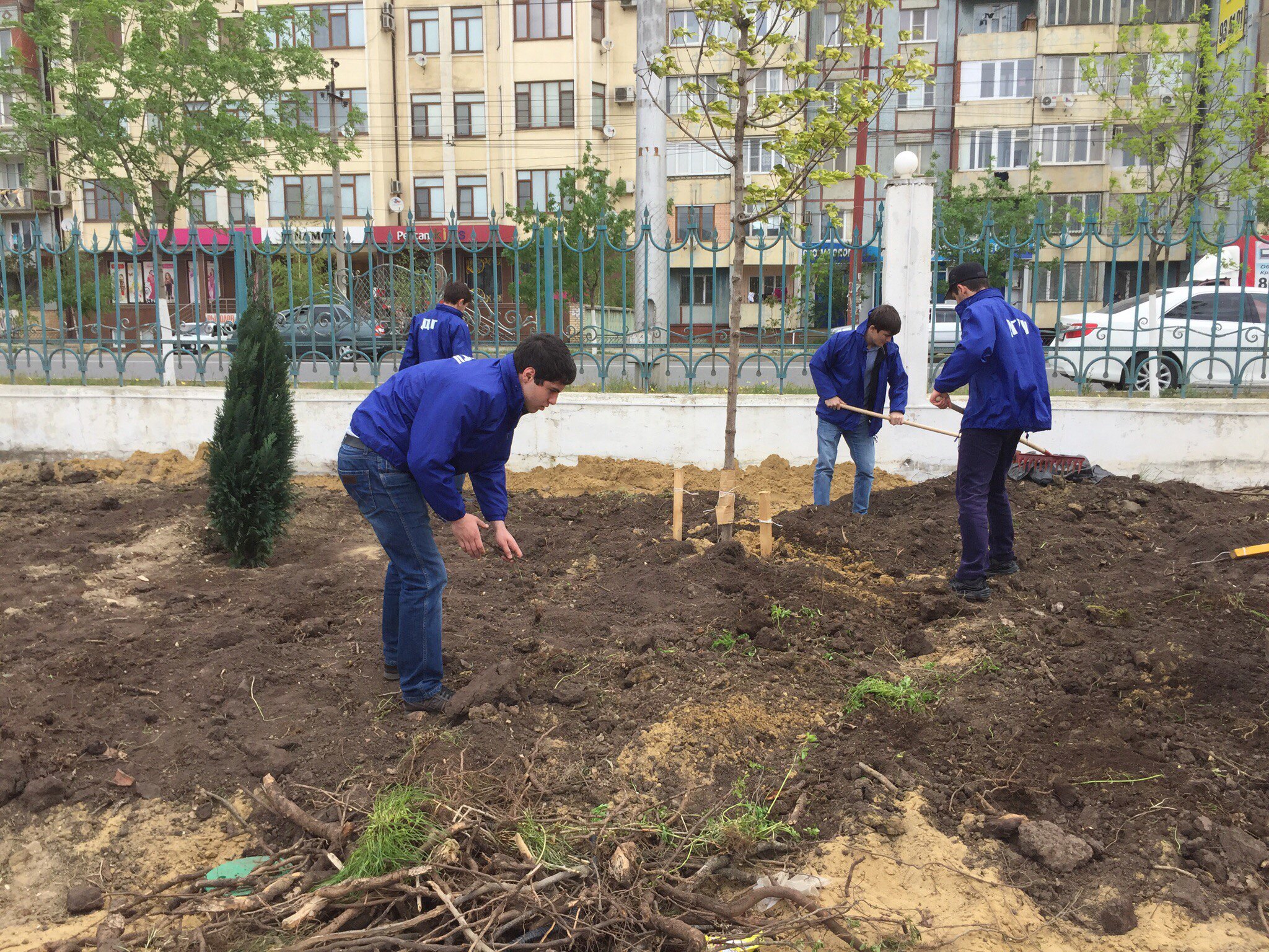 Специалист по озеленению. Специалист по озеленению